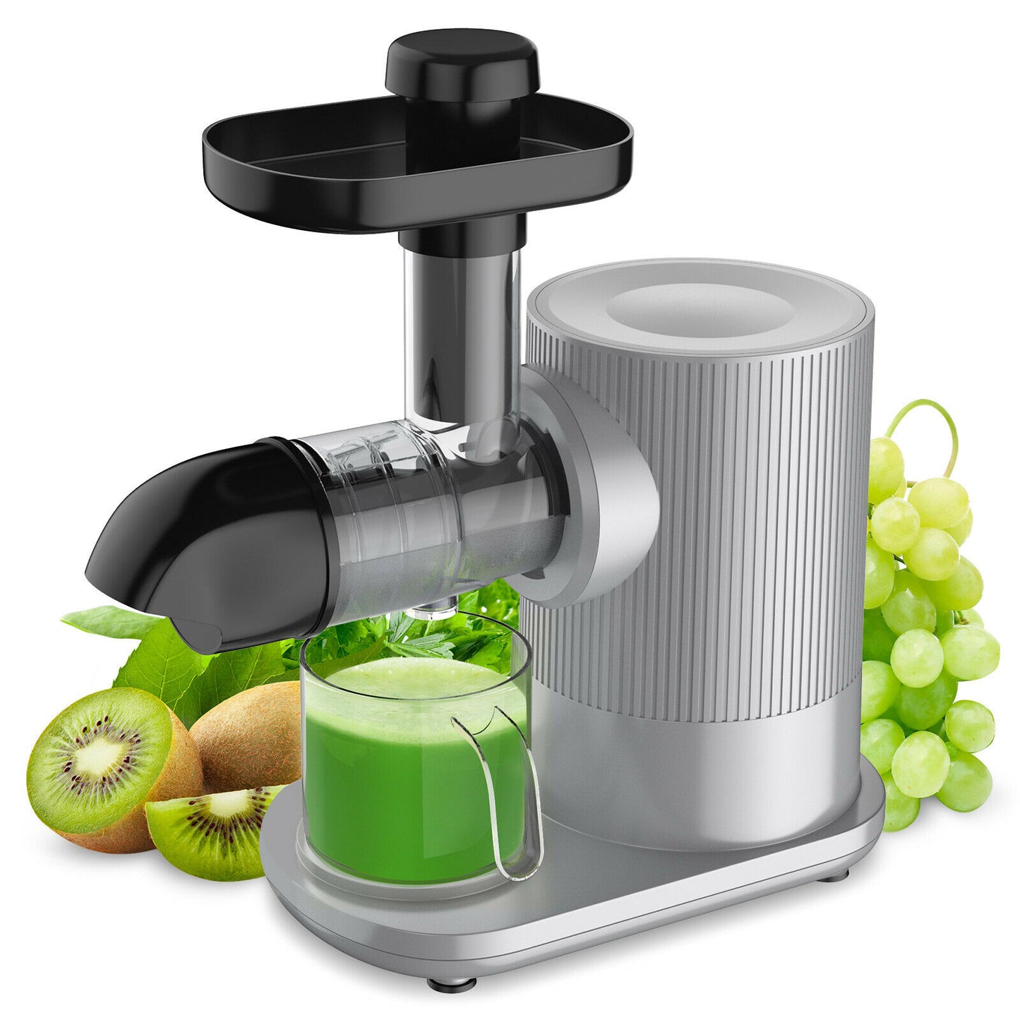 Juicer Extractor Fruit Vegetable Machine