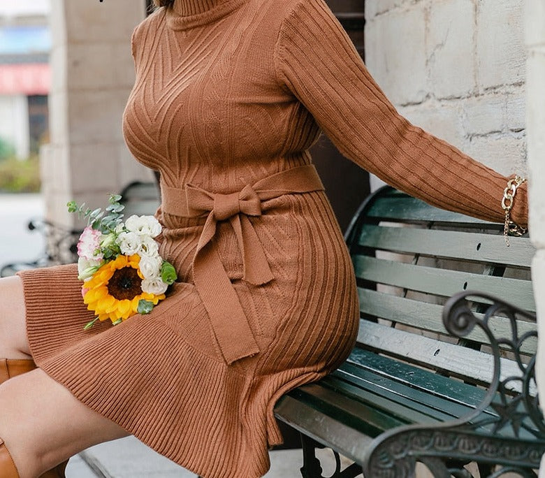 Knitted Turtleneck Plus Size Dress