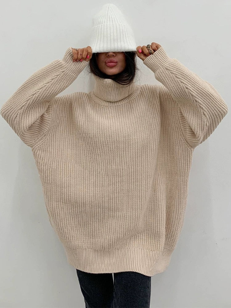 Thick Knit Turtleneck Sweater