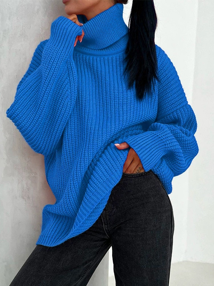 Thick Knit Turtleneck Sweater