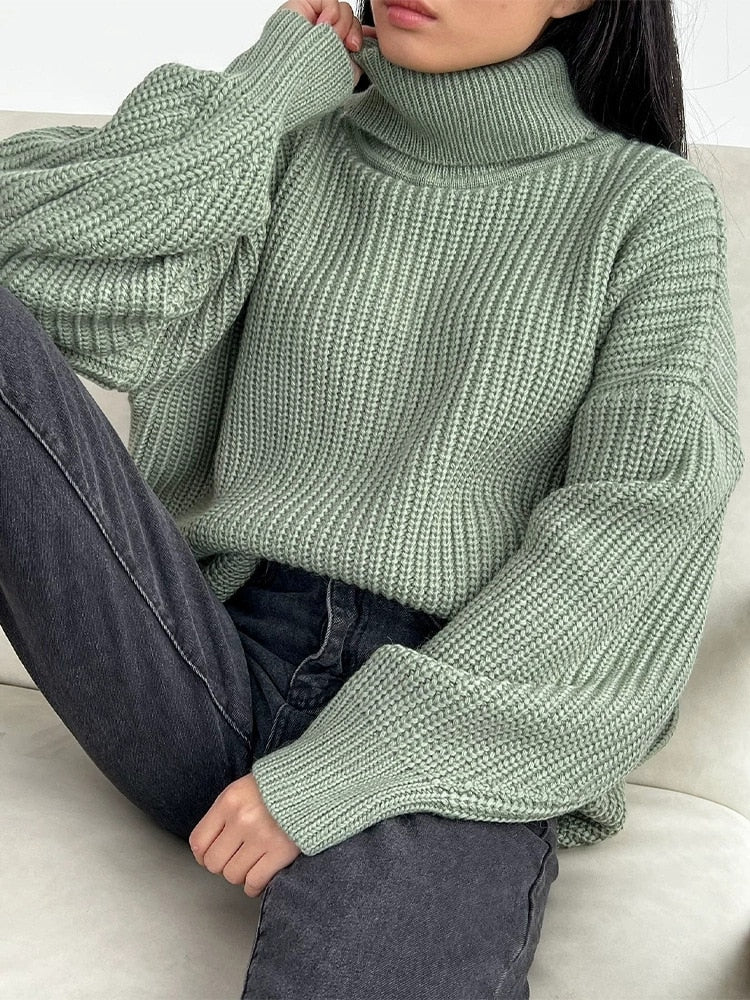 Thick Knit Turtleneck Sweater