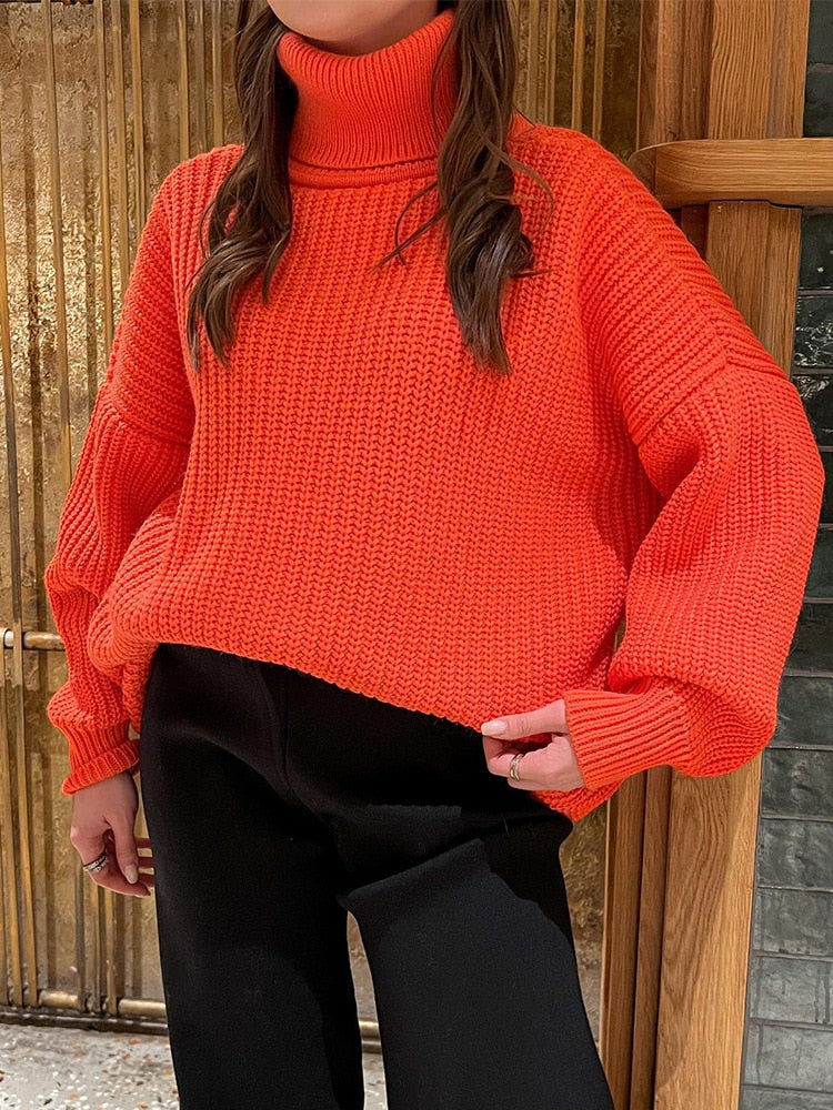 Thick Knit Turtleneck Sweater