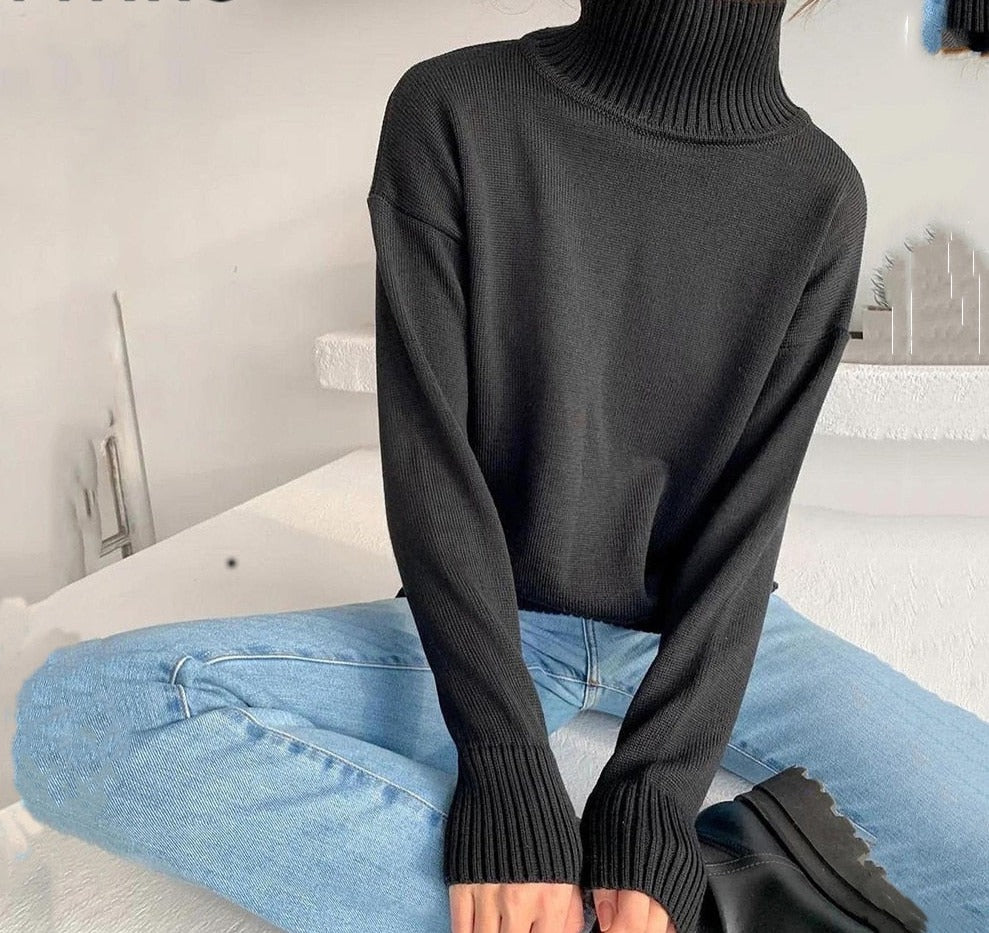 Turtleneck Pullover Sweater