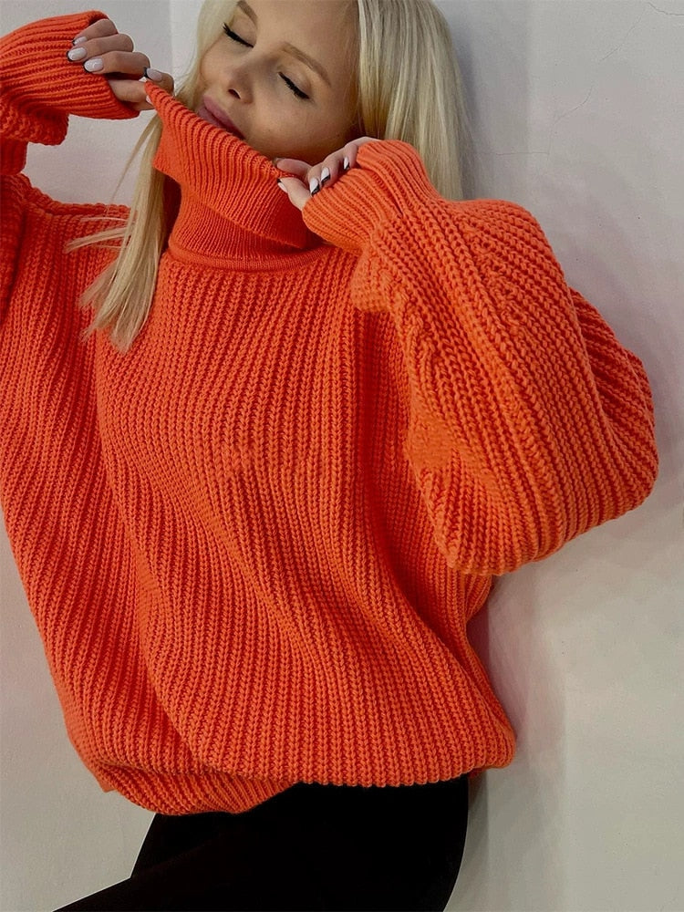 Thick Knit Turtleneck Sweater