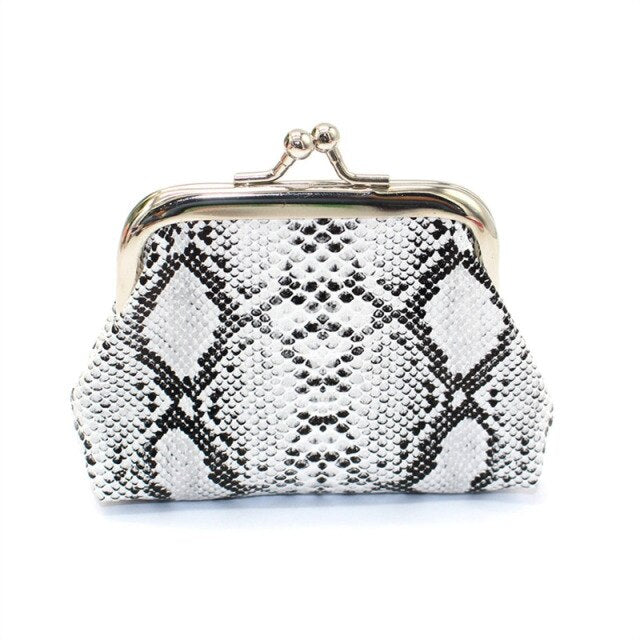 Women's Silver Mini Purse