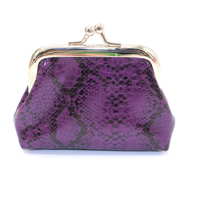 Women's Silver Mini Purse