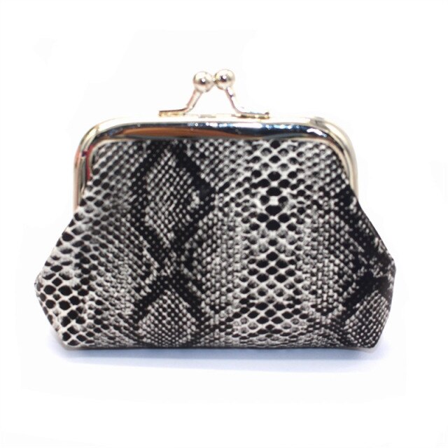 Women's Silver Mini Purse