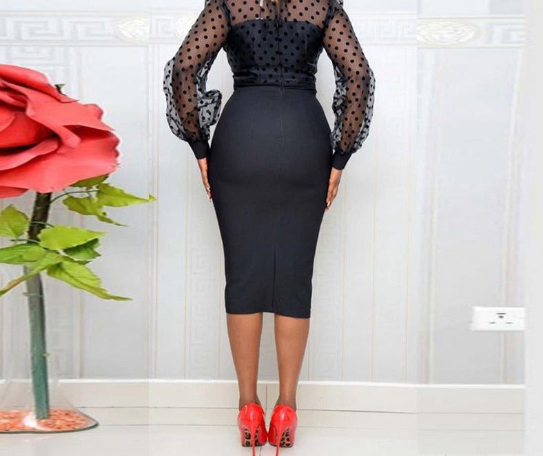 Plus Size  Mesh Lace Formal Dress for Women